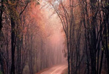 意昂体育：马卡报：马竞今夏将再次尝试出售勒马尔，可能是先租后买形式.