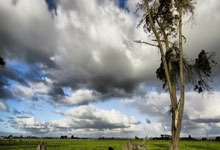 英超-萨拉赫传射 若塔破门 利物浦2-0伊普斯维奇.