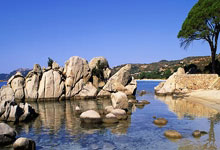 “网球运动已支离破碎” 球员协会提告四大国际网球组织.